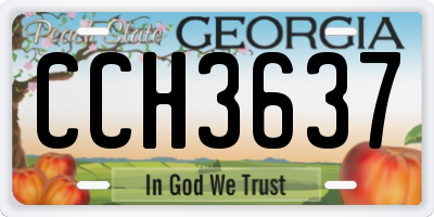 GA license plate CCH3637