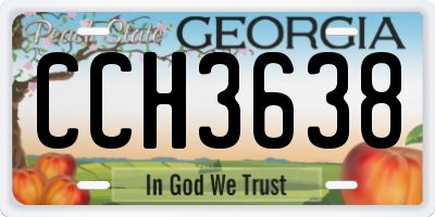 GA license plate CCH3638