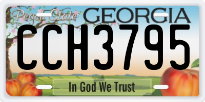 GA license plate CCH3795