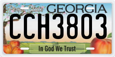 GA license plate CCH3803