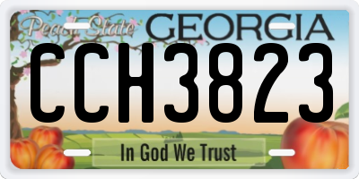 GA license plate CCH3823