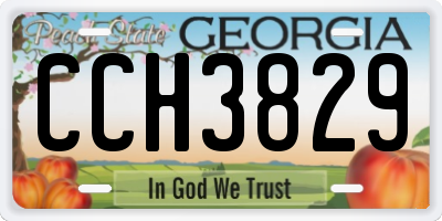 GA license plate CCH3829