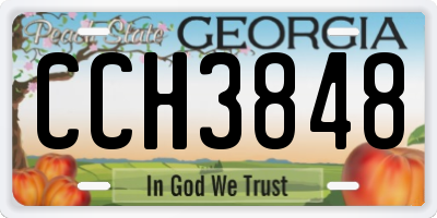 GA license plate CCH3848
