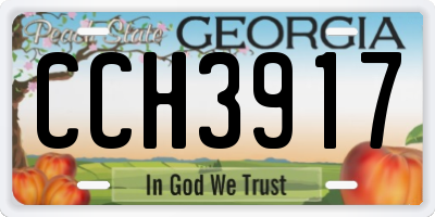 GA license plate CCH3917