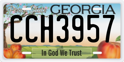 GA license plate CCH3957