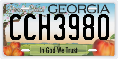 GA license plate CCH3980