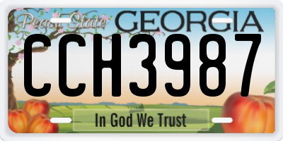 GA license plate CCH3987