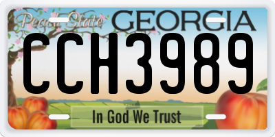 GA license plate CCH3989