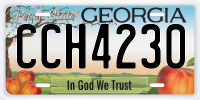 GA license plate CCH4230