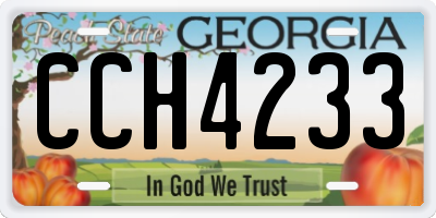 GA license plate CCH4233