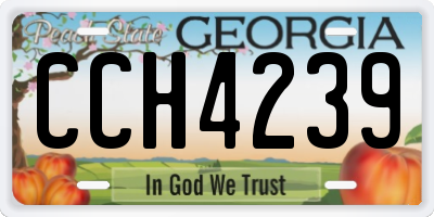 GA license plate CCH4239