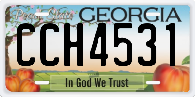 GA license plate CCH4531