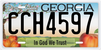 GA license plate CCH4597