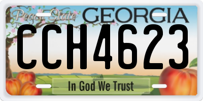 GA license plate CCH4623