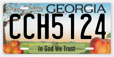 GA license plate CCH5124