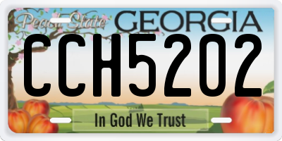 GA license plate CCH5202