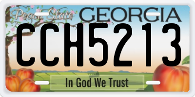 GA license plate CCH5213