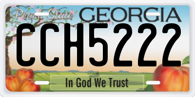 GA license plate CCH5222