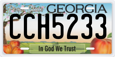 GA license plate CCH5233