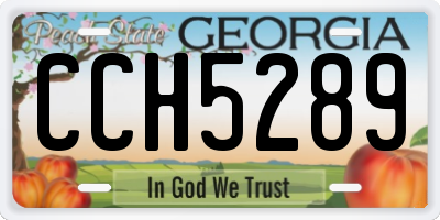 GA license plate CCH5289