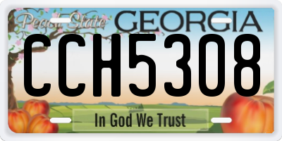 GA license plate CCH5308