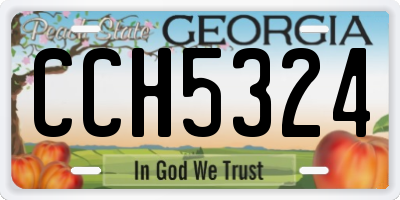 GA license plate CCH5324