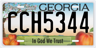 GA license plate CCH5344