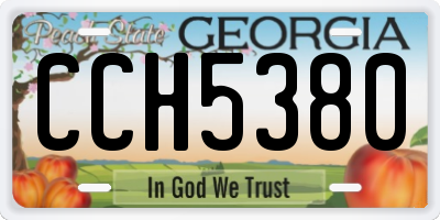 GA license plate CCH5380