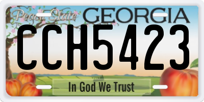 GA license plate CCH5423
