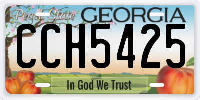 GA license plate CCH5425