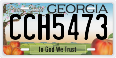 GA license plate CCH5473