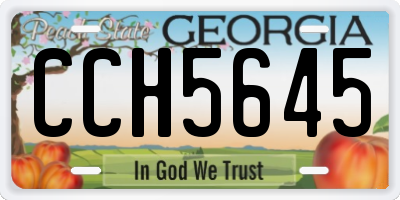 GA license plate CCH5645