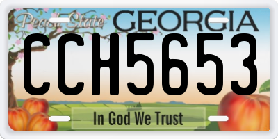 GA license plate CCH5653