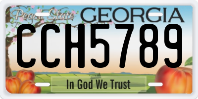 GA license plate CCH5789