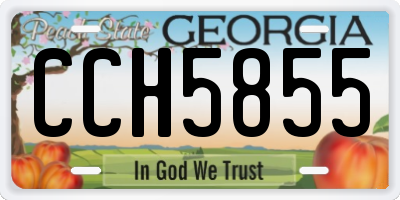 GA license plate CCH5855