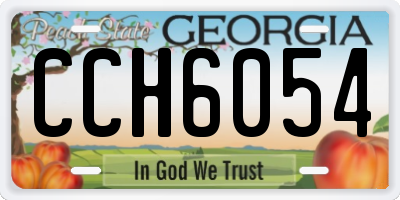 GA license plate CCH6054