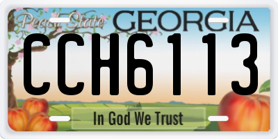 GA license plate CCH6113