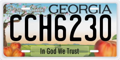 GA license plate CCH6230
