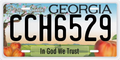 GA license plate CCH6529
