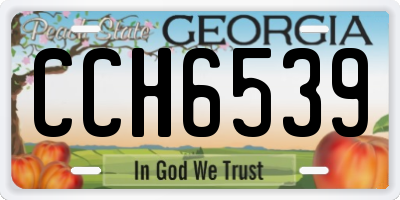 GA license plate CCH6539