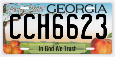 GA license plate CCH6623