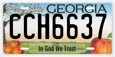 GA license plate CCH6637