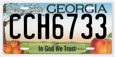 GA license plate CCH6733