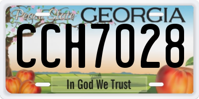 GA license plate CCH7028