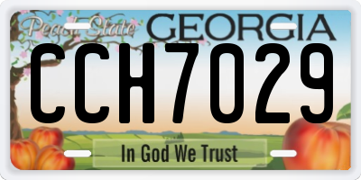 GA license plate CCH7029