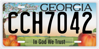 GA license plate CCH7042