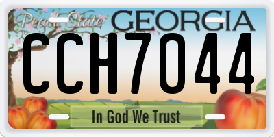 GA license plate CCH7044