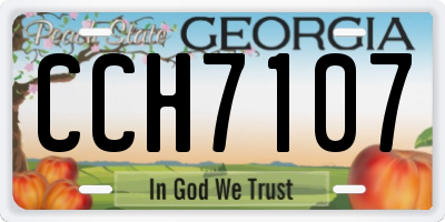 GA license plate CCH7107