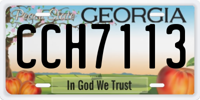 GA license plate CCH7113