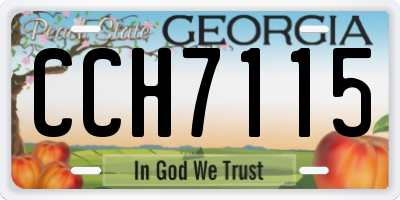GA license plate CCH7115